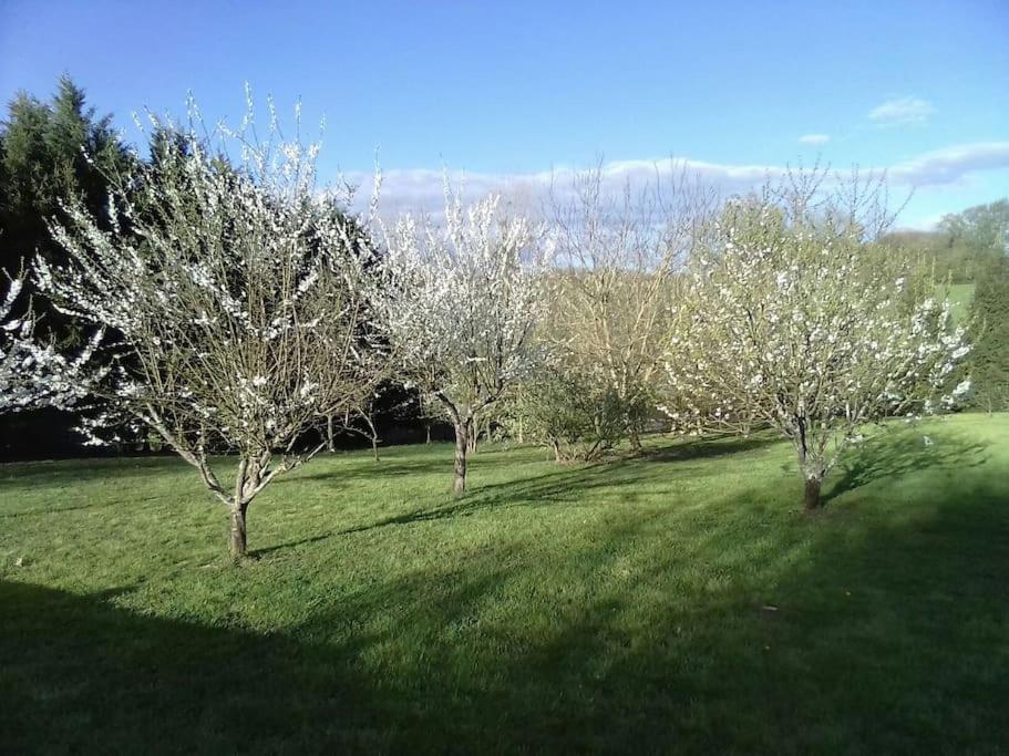 Dependance Pour 1 A 4 Pers Au Calme Dans Propriete Vila Marboz Exterior foto