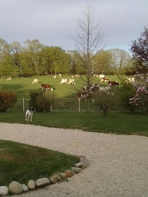 Dependance Pour 1 A 4 Pers Au Calme Dans Propriete Vila Marboz Exterior foto
